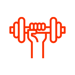 What this path focuses on